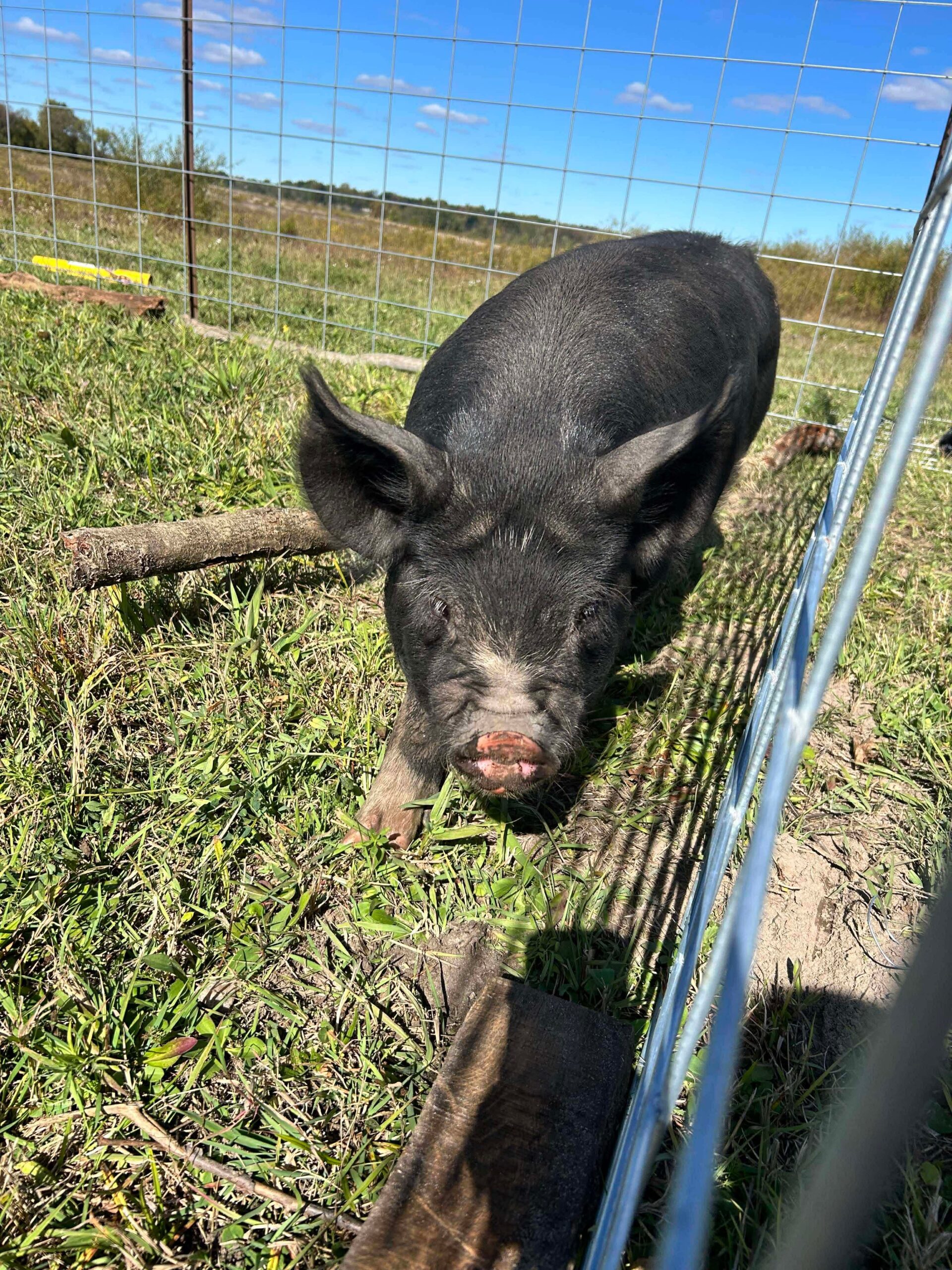 05481fc5e0a147f8dec6bb3d284d787b