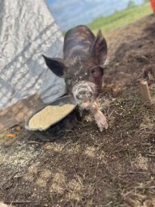 052bb9a76910e5d92994f33523946faa