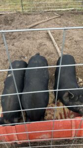 8fde12a1bc08904c23d120d0ea75801c